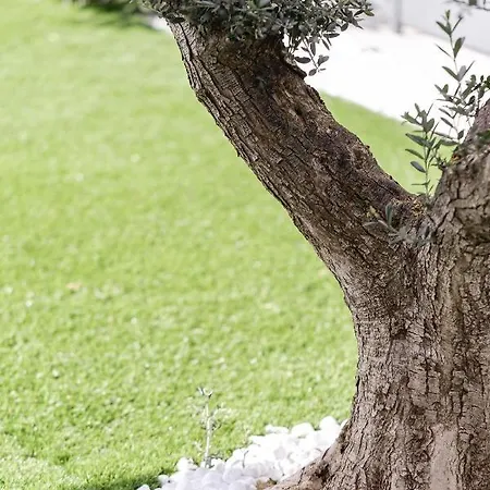 公寓 La Matta And Luxury