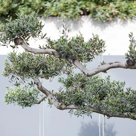 La Matta And Luxury Apartament