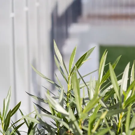 La Matta Apartments&luxury * San Remo