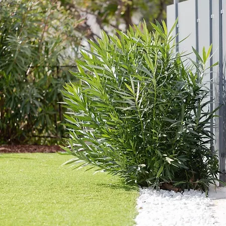 La Matta And Luxury Apartamento San Remo