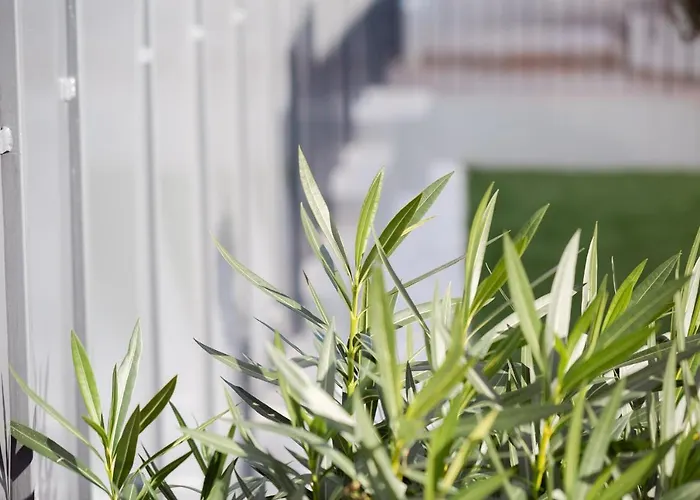 La Matta And Luxury * Sanremo