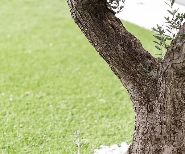 Apartamento La Matta And Luxury