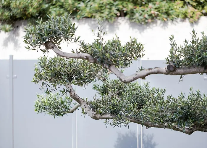 La Matta And Luxury Apartamento